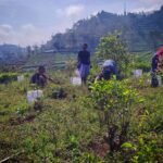 Kolaborasi Hijau Reguler ke-34: Bukti Konsistensi, Menanam Harapan di Blok Gunung Congkrang