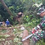 Babinsa Koramil 0607-09/Cisaat Bantu Evakuasi Rumah Warga Tertimpa Pohon di Kadudampit