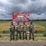 Kogaphan DIY Hadiri Panen Raya Padi Terapan Organik Bela Negara