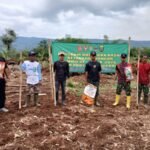 TMMD Ke-127 Kodim 0607, Dari Parakanlima, TNI dan Warga Perkuat Ketahanan Pangan