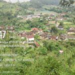 Kolaborasi Hijau Ke-67: Dari Bukit Cinta Kembar, Menanam Harapan dan Mitigasi Bencana