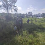 Kolaborasi Hijau ke-69 Mengakar di Kaki Gunung Papandayan: Dari Aksi Tanam Menuju Gerakan Berkelanjutan