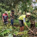 Hijaukan Lereng Rawan Longsor, Kolaborasi Hijau Garut Tanam Harapan di Bukit Cinta Kembar