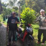 Sedekah Oksigen Terus Mengalir: Ribuan Bibit dari PD Maju Mandiri Perkuat Gerakan Hijau di Paguyuban Kolaborasi Hijau Garut