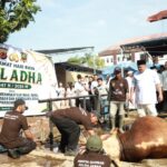 Polda Jabar Sembelih dan Distribusikan 160 Hewan Qurban Pada Hari Raya Idul Adha 1447 H/2026