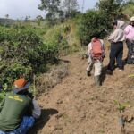 Bukan Sekadar Menanam, Mereka Menjaga Masa Depan: Kisah Aksi Kolaborasi Hijau ke-78 di Gunung Congkrang